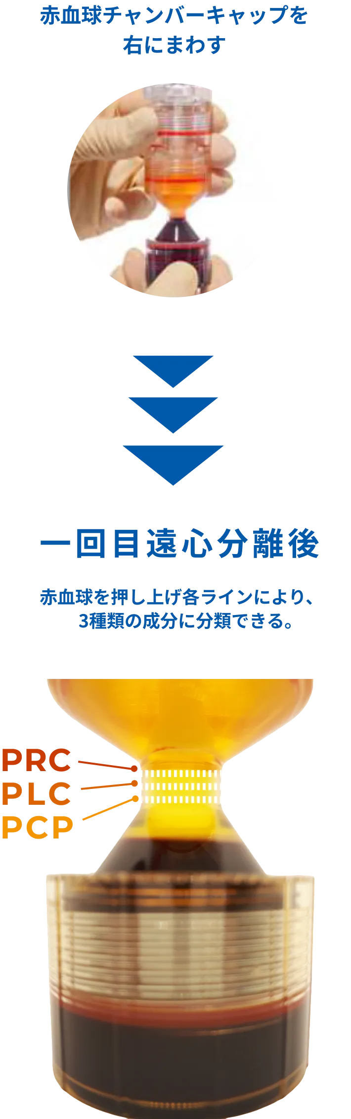 一回目遠心分離後